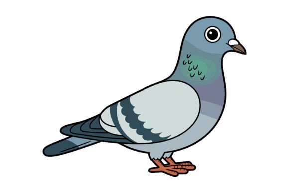 Unlock Creative Potential with Pigeon Illustration Vectors