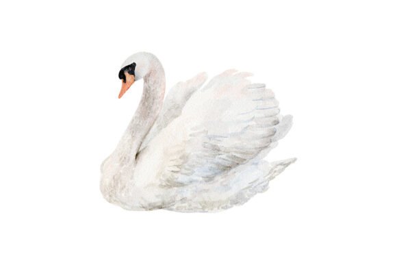 Watercolor White Swan PNG Clipart: Elevating Your Creative Projects with Timeless Elegance